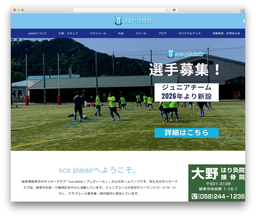 MAXX WordPress theme - scs-plaisir.com