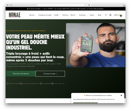 Bundler pro WordPress plugin - honae.fr