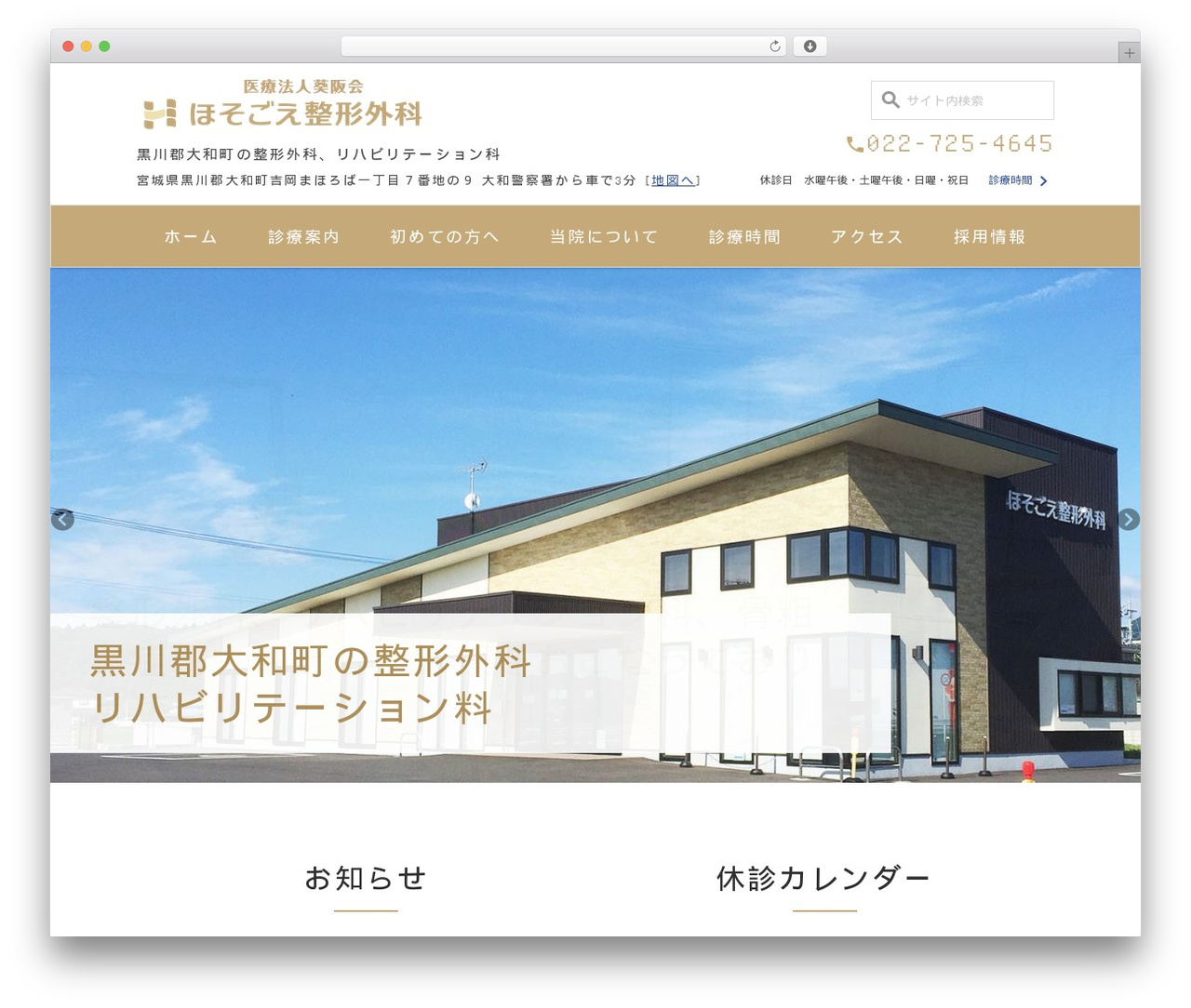 theme WordPress theme - hosogoeseikei.com theme WordPress theme - hosogoeseikei.com