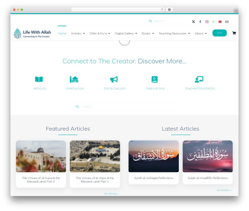WooCommerce UPS Shipping – Live Rates and Access Points (flexible-shipping-ups) free WordPress plugin - lifewithallah.com