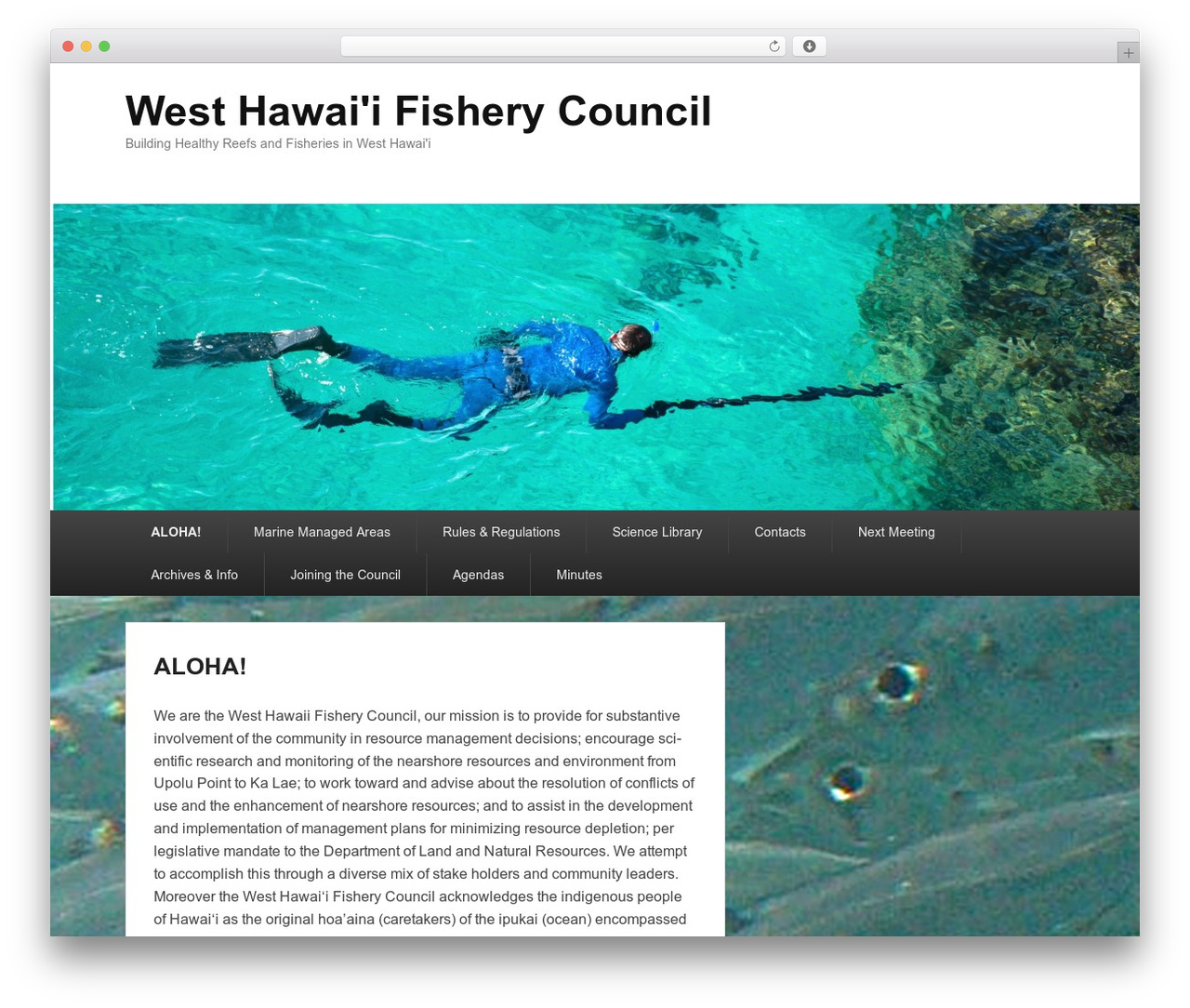 Catch Evolution free WordPress theme - westhawaiifisherycouncil.org Catch Evolution free WordPress theme - westhawaiifisherycouncil.org
