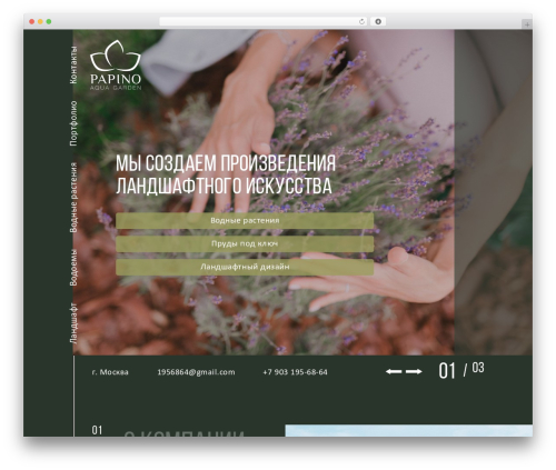 WordPress theme CleanStrap - papino.pro