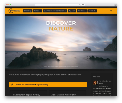 React WordPress theme design - phoclab.com