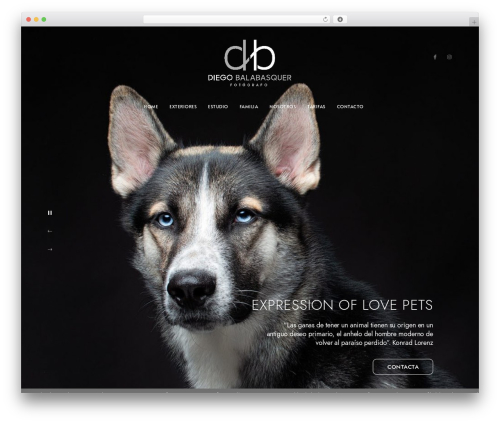 Imaginem blocks ii WordPress plugin - diegobalabasquer.com