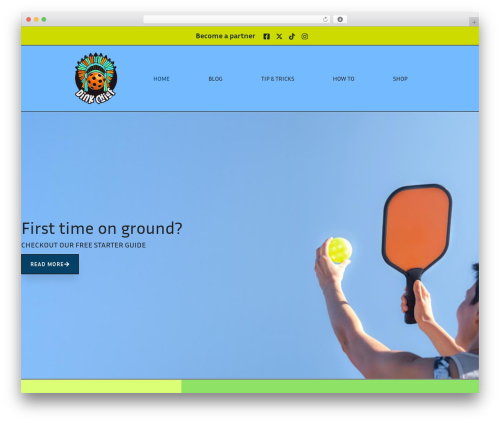 B tiktok feed WordPress plugin - dinkchief.com
