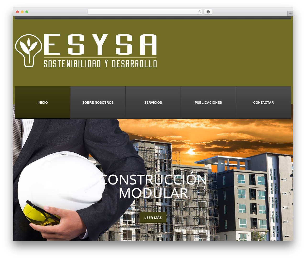 cherry WordPress theme - esysa.com