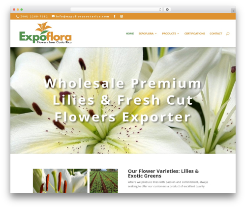 Divi WordPress page theme - expofloracostarica.com