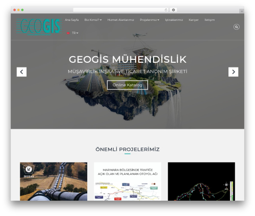 Form WordPress plugin - geogis.com.tr