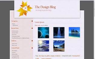 Dynamic Dream WordPress theme by Mujtaba Ahmed