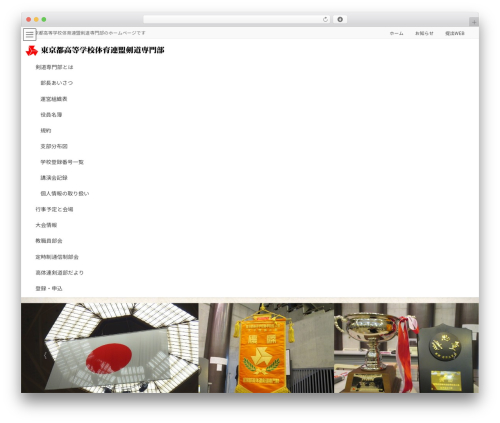 Vk blocks pro WordPress plugin - to-koutairen-kendo.org