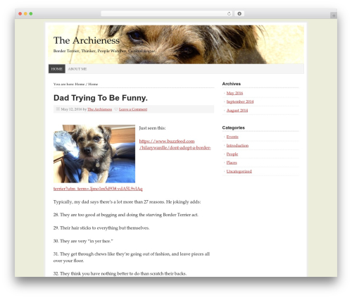 Prose WordPress theme design - thearchieness.com
