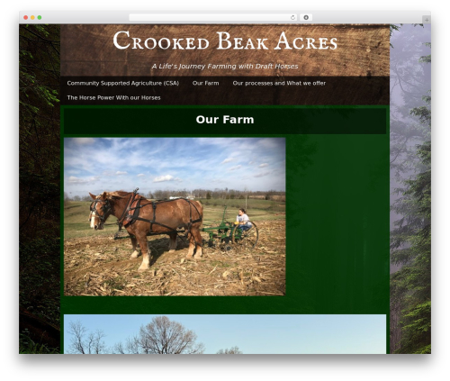 Custom Site Logo (custom-site-logo) free WordPress plugin - crookedbeakacres.com Custom Site Logo (custom-site-logo) free WordPress plugin - crookedbeakacres.com