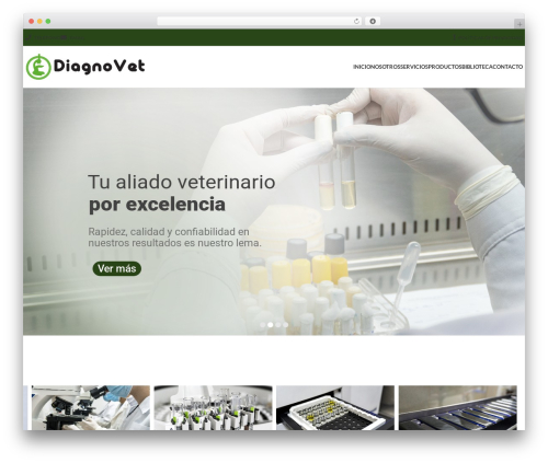 Theme WordPress soysecond.com - diagnovet.com.ec