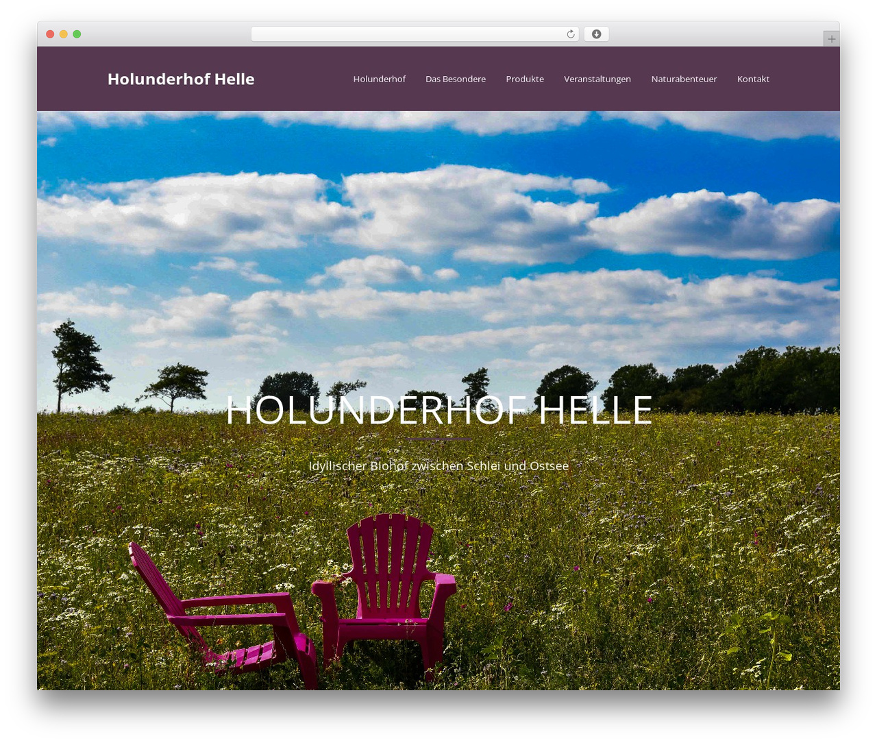 Theme WordPress Total - holunderhof-helle.de