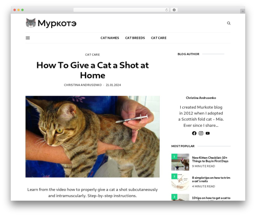 Theme WordPress Authentic - murkote.com