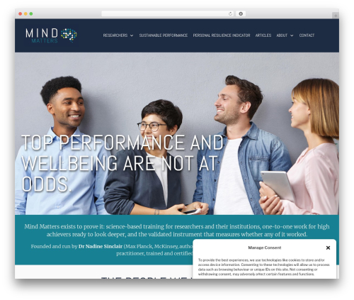 Bbh custom schema WordPress plugin - mindmatters.pro