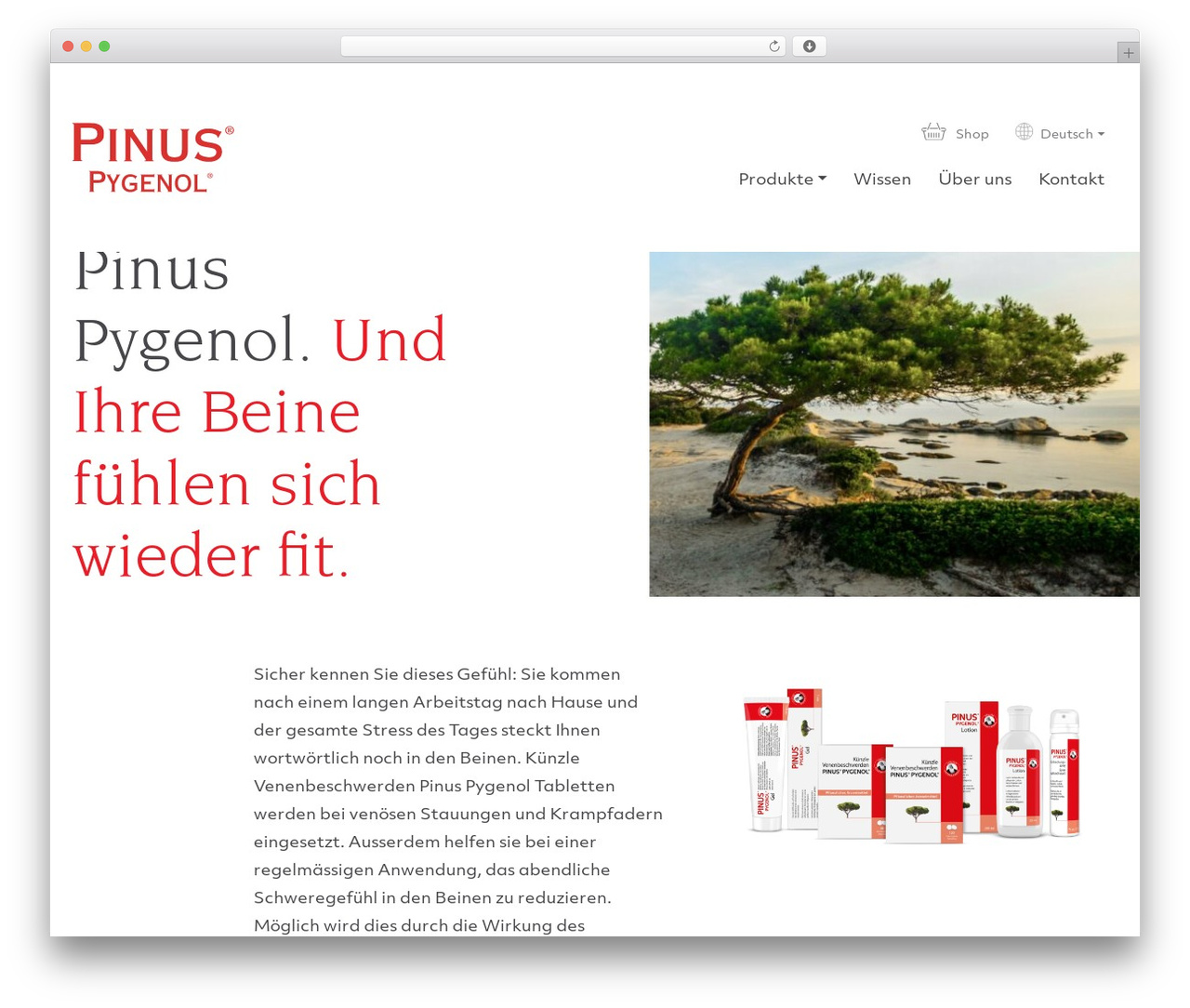 WordPress theme mindstudios - pinus-pygenol.ch WordPress theme mindstudios - pinus-pygenol.ch