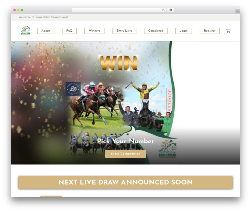 Woocommerce lottery WordPress plugin - equestrianpromotions.com