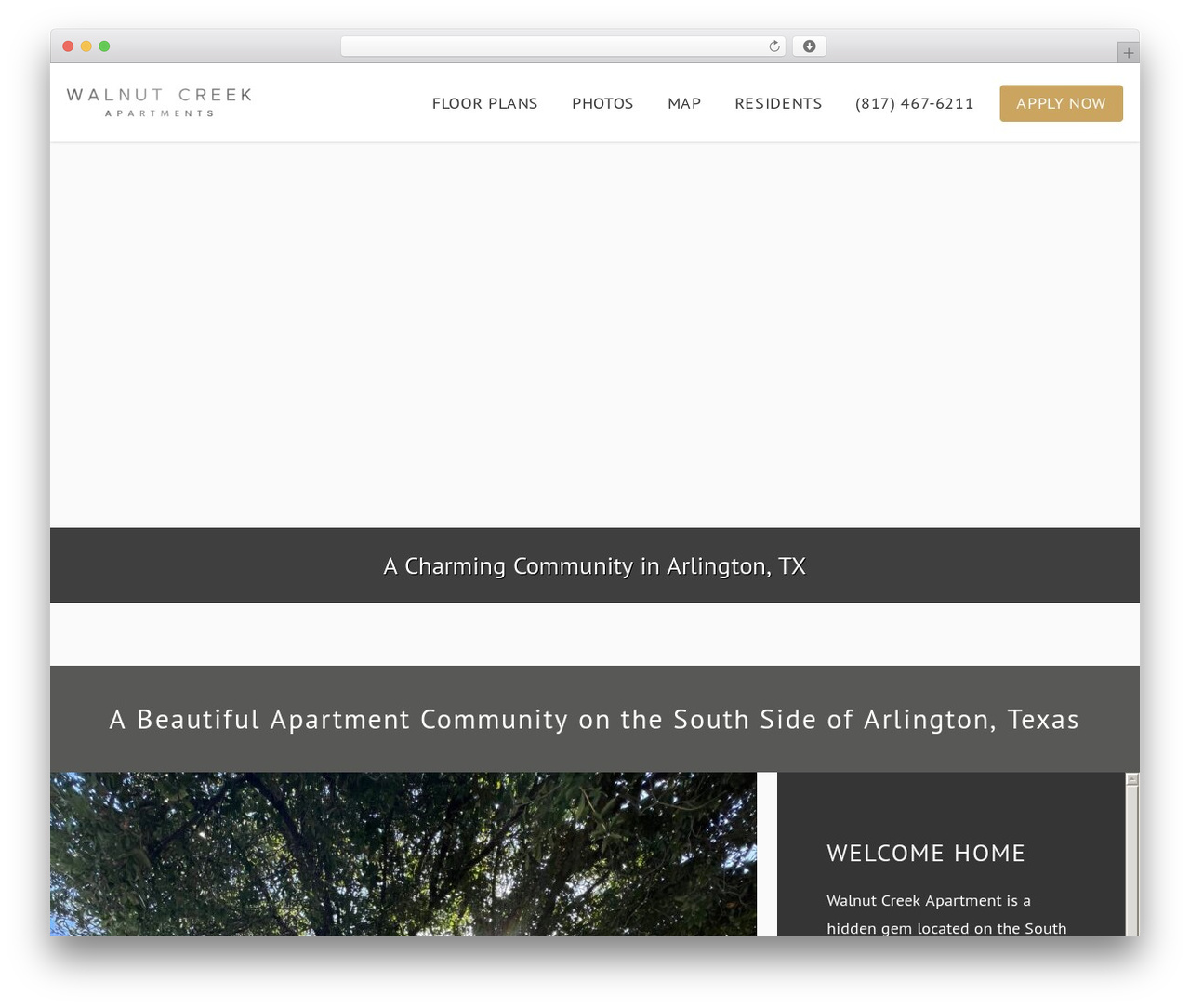 Theme WordPress Nectar Child Theme - walnutcreekarlington.com