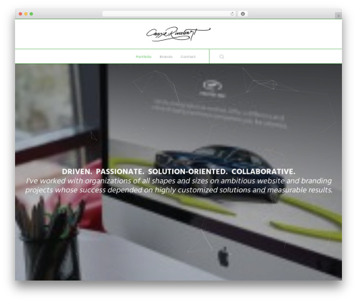 Vcparticlesbackground WordPress plugin - cassierinehart.com