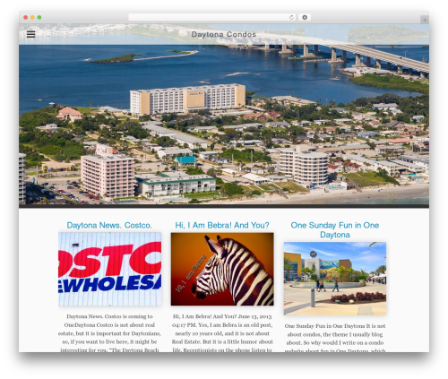 Catalyst WordPress theme - daytona-condos.com