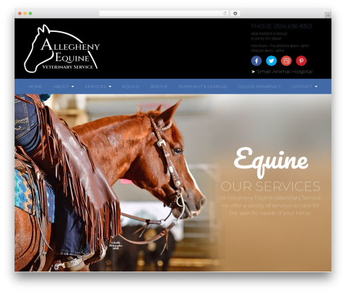 Review generator WordPress plugin - alleghenyequine.com