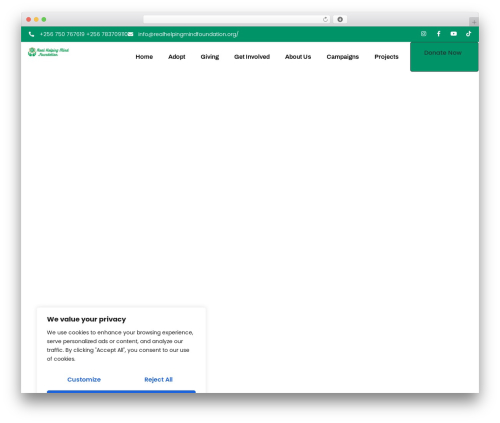Elementorpro 3171 WordPress plugin - realhelpingmindfoundation.org