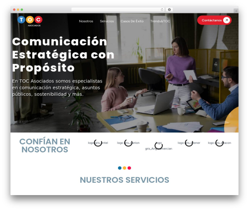 seoc theme WordPress - tocasociados.com