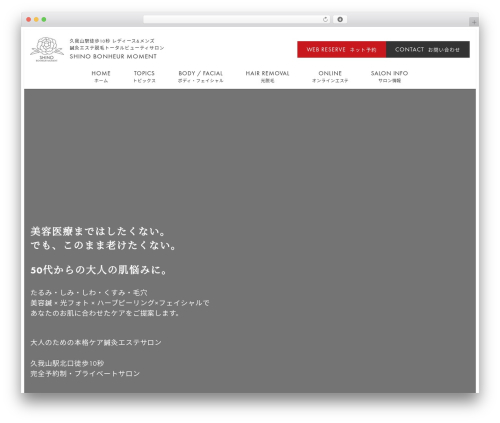My snow monkey WordPress plugin - shino-bm.jp