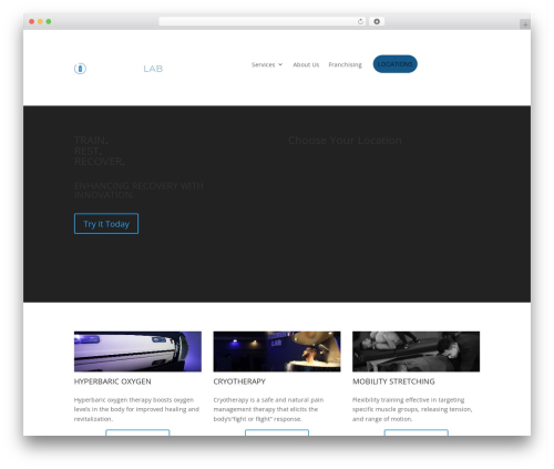 Latepoint custom fields WordPress plugin - recoverylab.co
