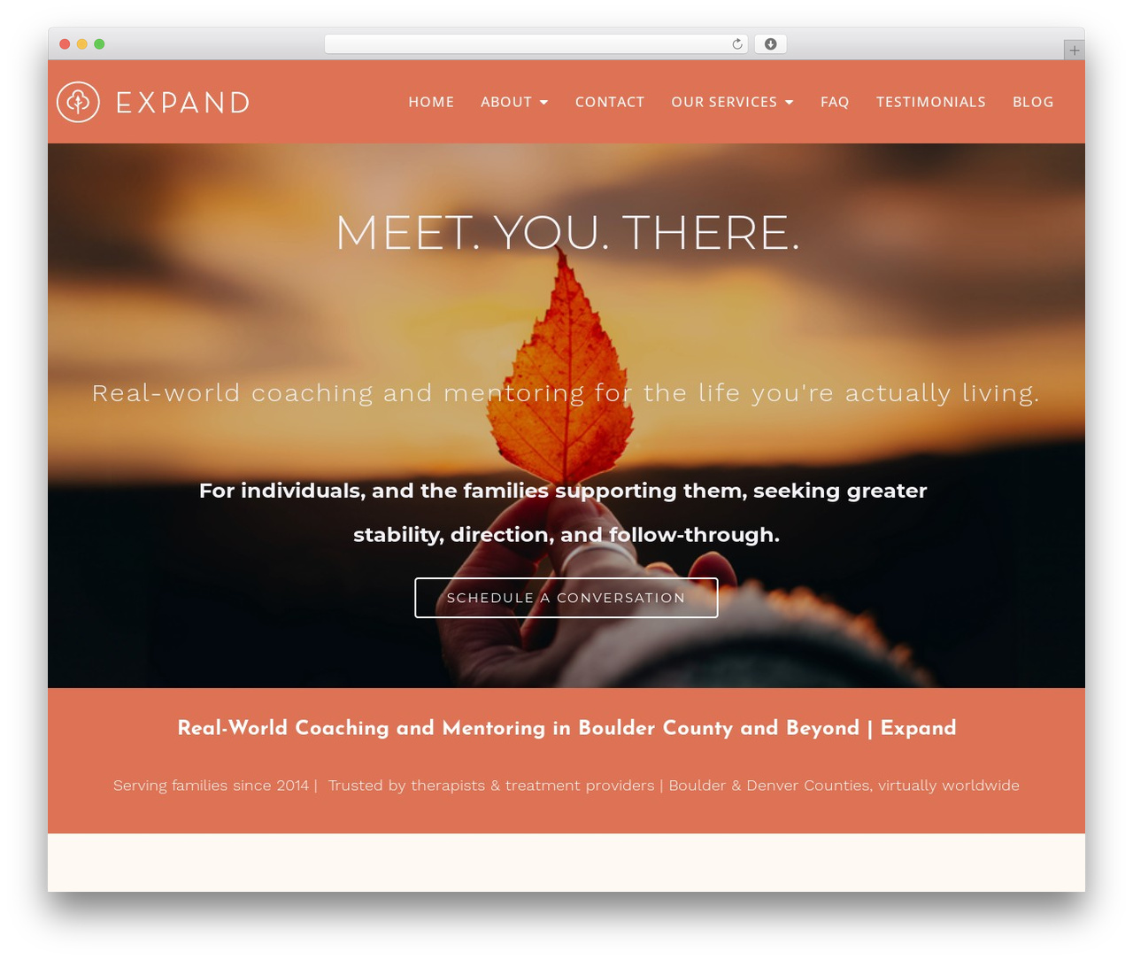 WordPress theme Megatheme - expandmentoring.com