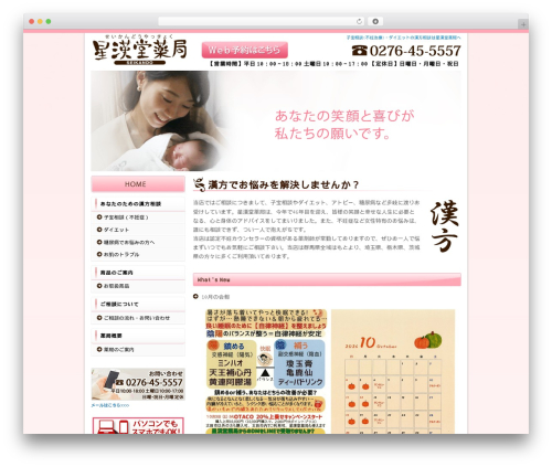 Themify Basic best WordPress theme - seikandoukodakara.com