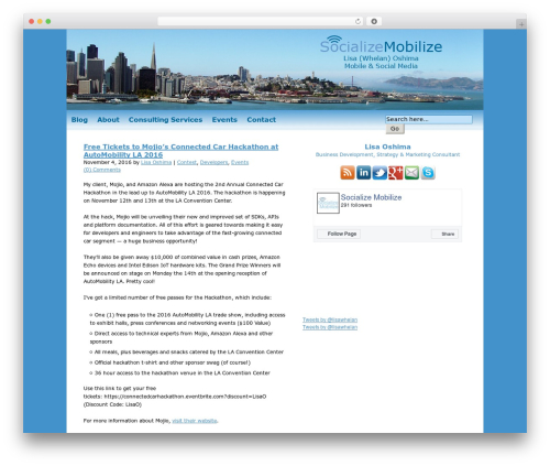 Vibrant CMS WordPress theme - socializemobilize.com