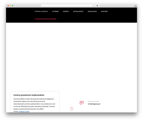 Wp rocket 3 WordPress plugin - biggroup.pl