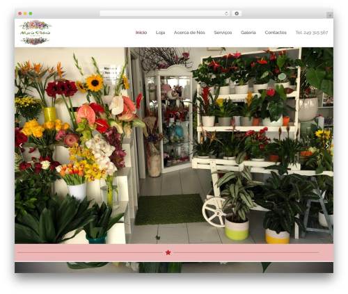 Astra WordPress theme design - floristamariapeonia.com