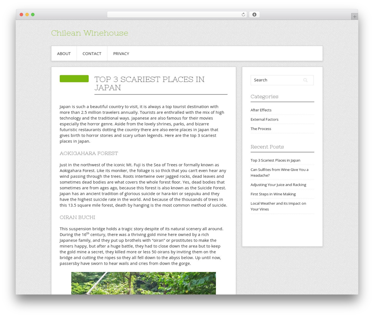 Contango WordPress theme - chileanwinehouse.com