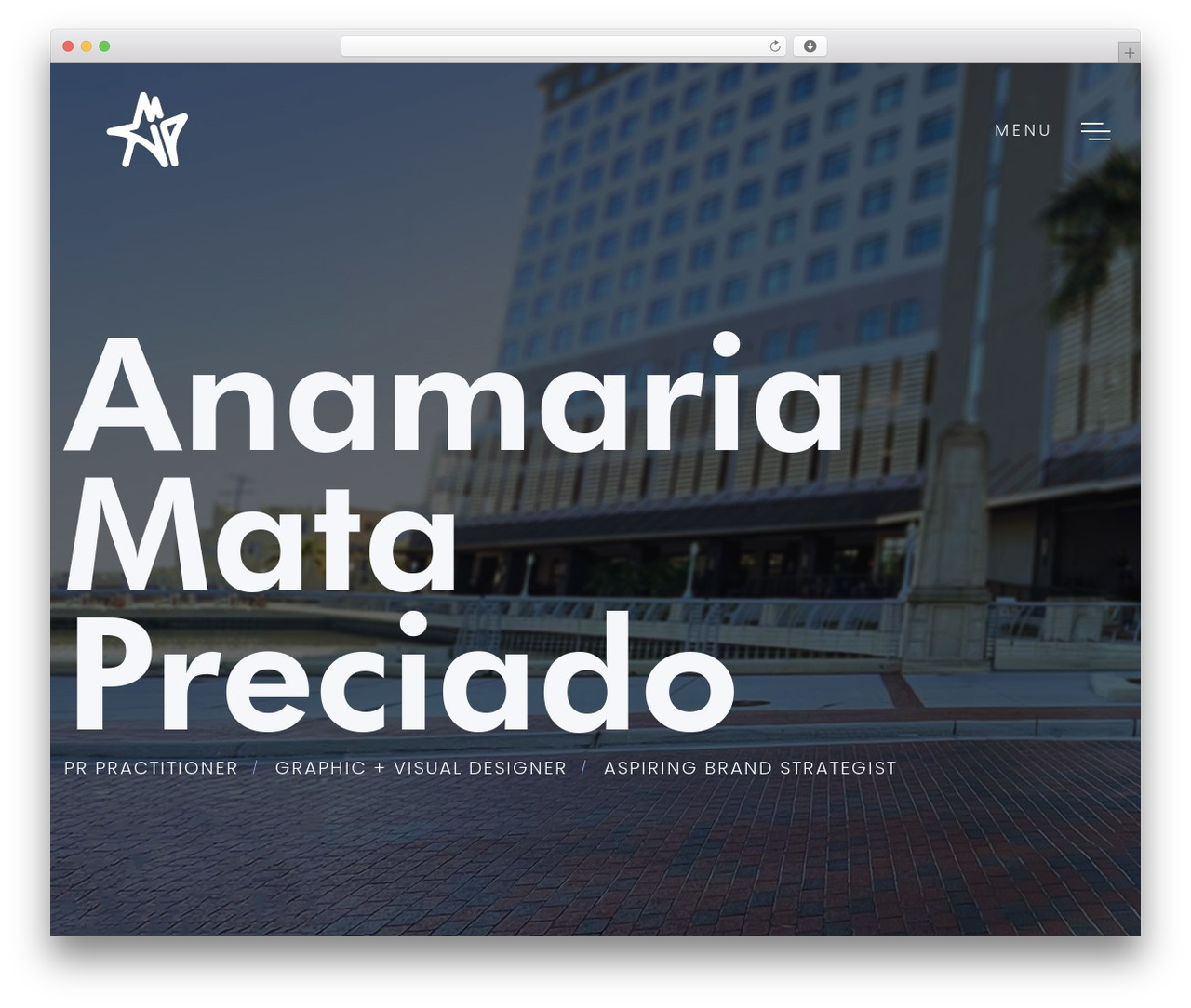 WordPress theme Filix - anamariamatapreciado.com