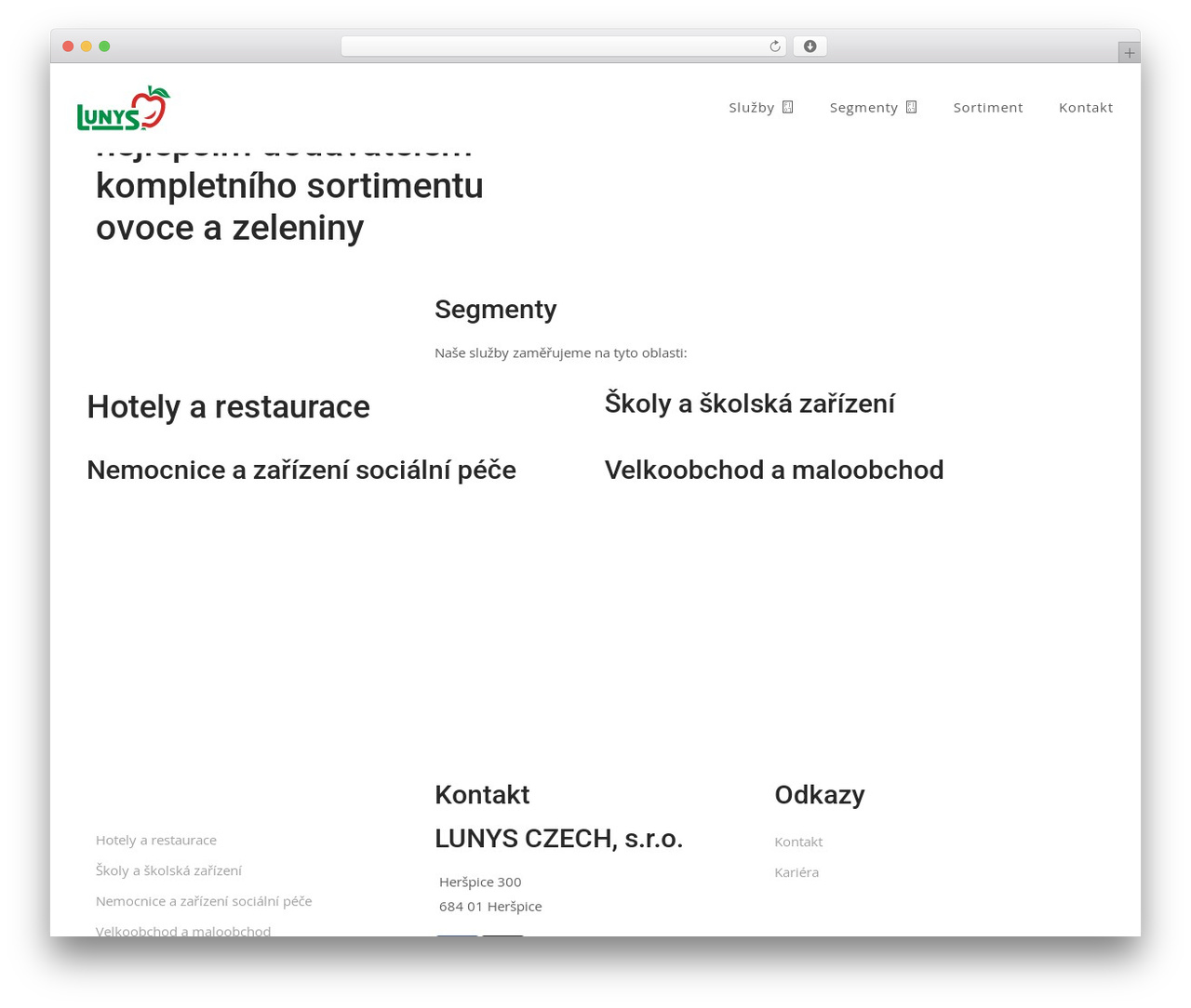WordPress theme Trix Child - lunys.cz