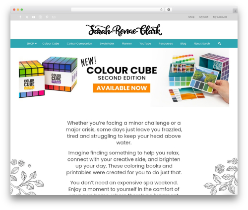 Facebook for WooCommerce (facebook-for-woocommerce) free WordPress plugin - sarahrenaeclark.com