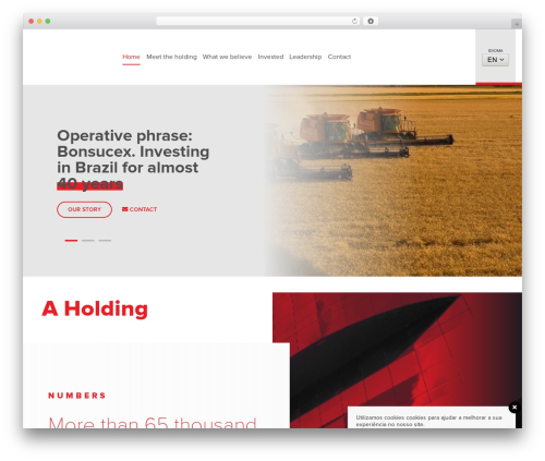 Bonsucex WordPress theme - bonsucex.com.br