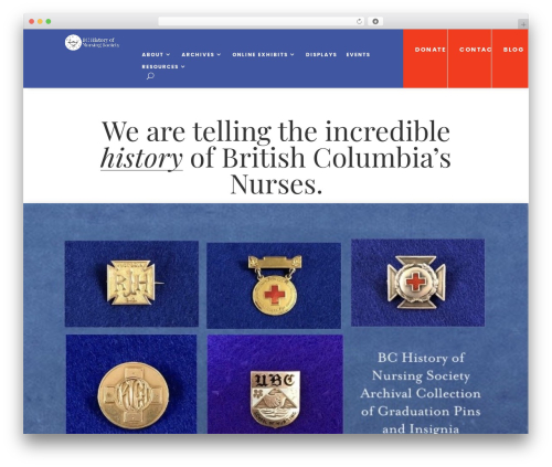 WPTools Masonry Gallery & Posts For Divi (wptools-masonry-gallery-posts-for-divi) free WordPress plugin - bcnursinghistory.ca