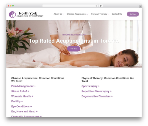 Physio-qt premium WordPress theme - northyorkacupuncture.com