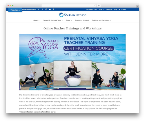 Teachable WordPress plugin - dolphinmethod.com