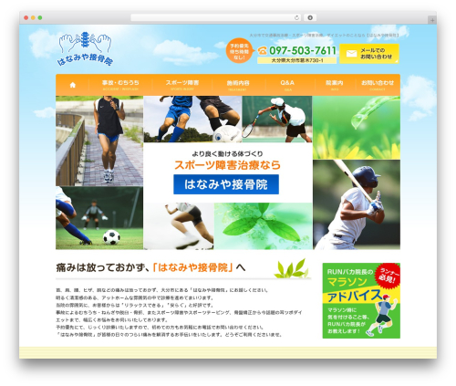 Custom article WordPress plugin - hanamiya8738.com