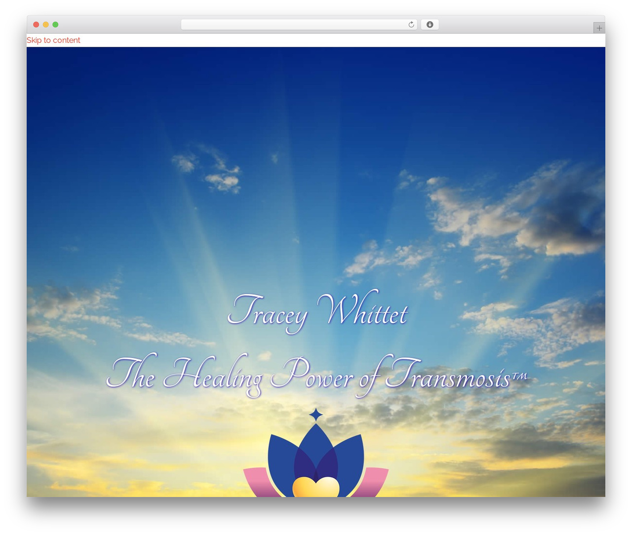 WordPress theme Pro - traceywhittet.com