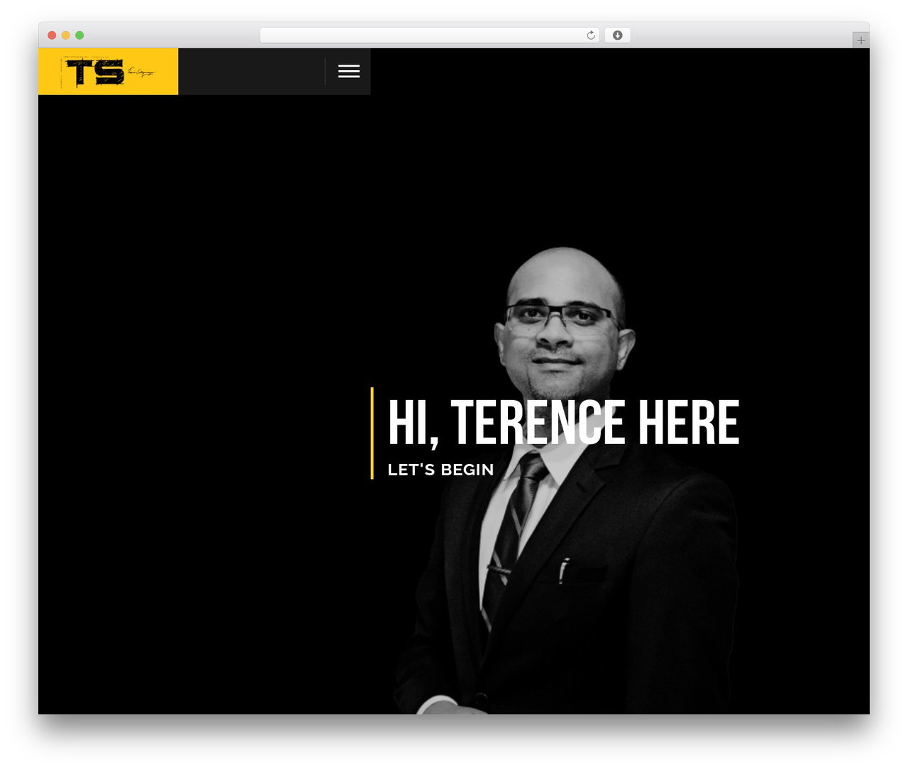 WordPress theme BionickWP - terencesat.com