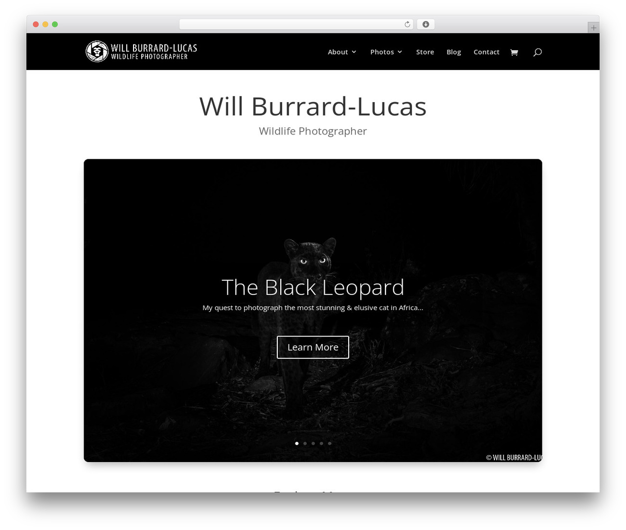 WordPress theme Divi - willbl.com