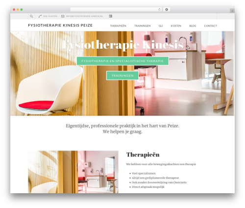 Best WordPress template Retail Therapy - fysiotherapie-kinesis.nl