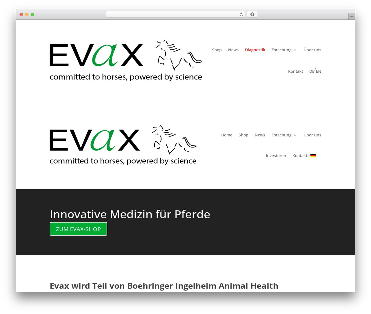 EVAX theme WordPress - evax.ch