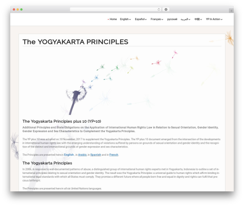 Layout Builder top WordPress theme - yogyakartaprinciples.org